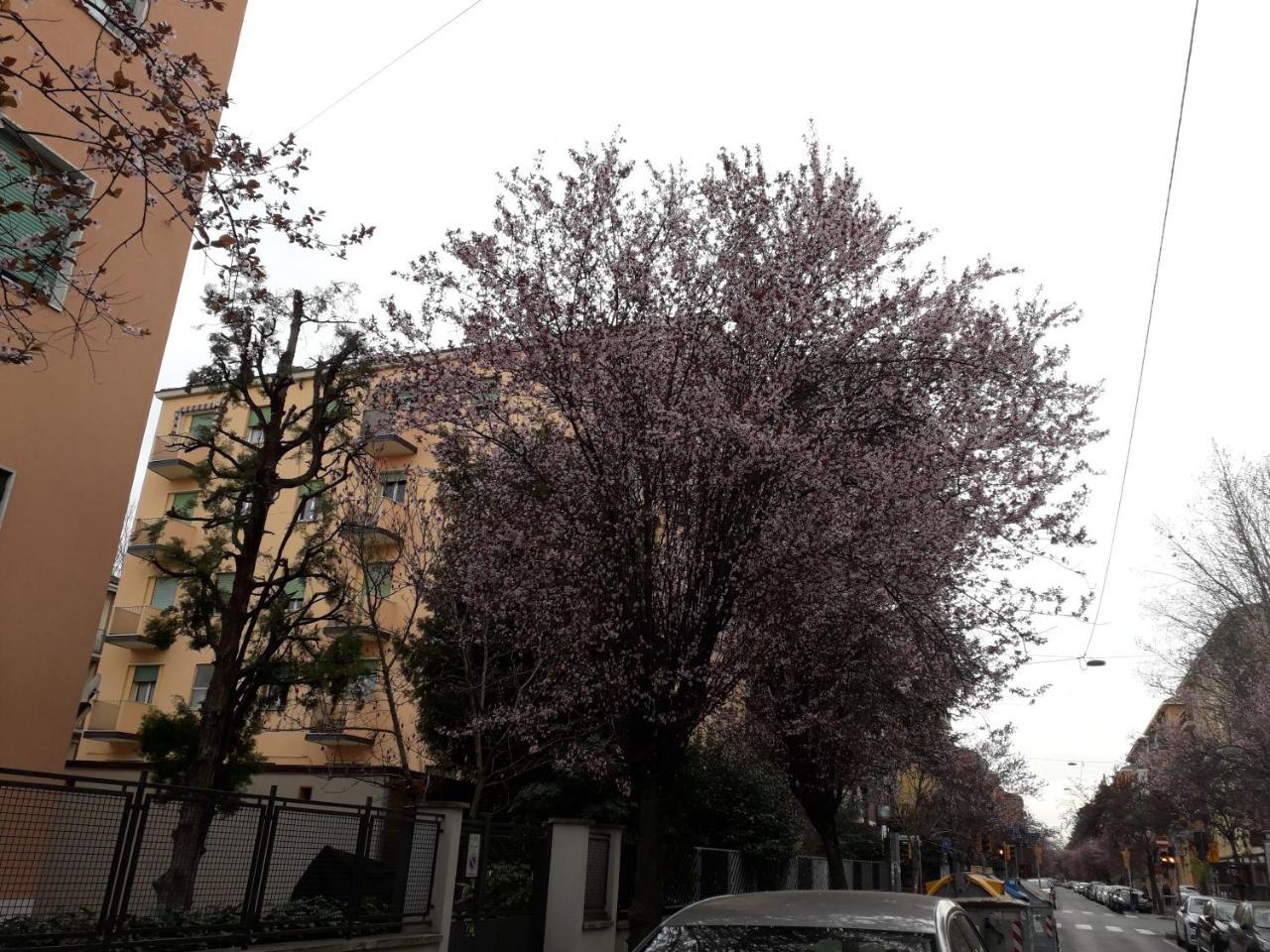 Sant'Orsola Bologna Appartamento Luaran gambar